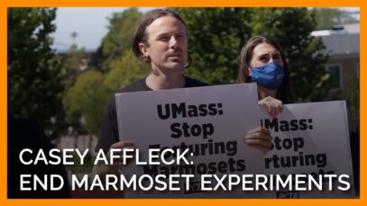 Casey Affleck Marches Across UMass Campus Calling for an End to Heartless Experiments on Marmosets