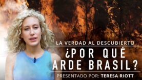 ¿Por qué arde Brasil? | La industria de la carne al descubierto