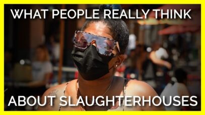 What do people REALLY think about slaughterhouses?