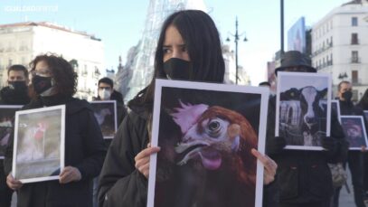 Acto de Igualdad Animal por el Día Internacional de los Derechos Animales