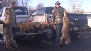 Are Wildlife Killing Contests Being Held in Your State?