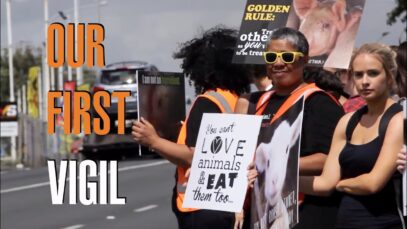 Auckland Meat Processors – Our First Vigil