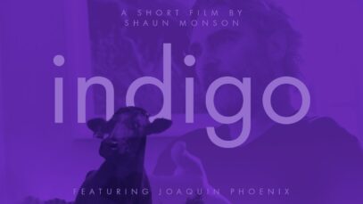 Indigo