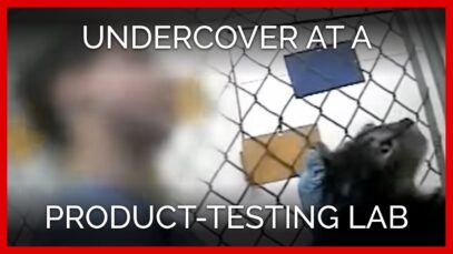 PLRS: Undercover at a Product-Testing Laboratory