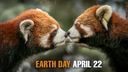 This Earth Day bring the Change you want to see