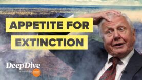 Why David Attenborough is worried about biodiversity loss