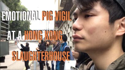 Emotional Vigil at a Slaughterhouse in Hong Kong