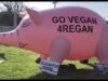 Go Vegan For Regan