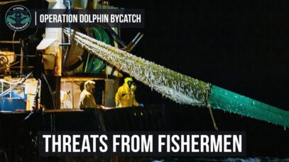 Trawler caught fishing without pingers threatens Sea Shepherd