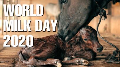 The Bond Between Mother & Child is Sacred | World Milk Day 2020