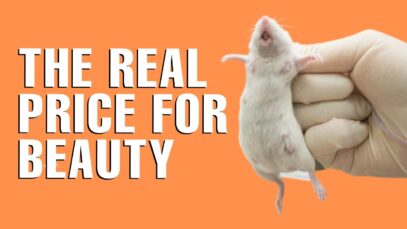 THE DARK TRUTH BEHIND THE COSMETIC INDUSTRY