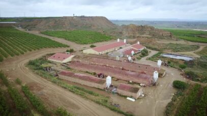 El impacto ambiental de la industria porcina