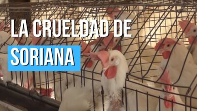 La Crueldad de Soriana