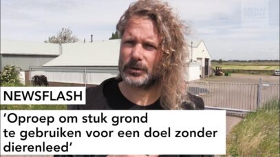 NEWSFLASH: Oproep om stuk grond te gebruiken voor een doel zonder dierenleed.