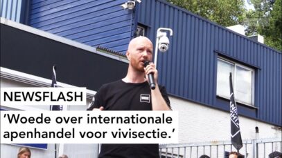 NEWSFLASH: Woede over internationale apenhandel voor vivisectie.