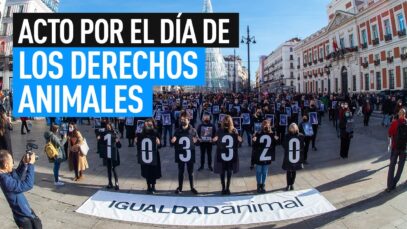 CONTRA EL MALTRATO ANIMAL | ACTO POR EL DÍA DE LOS DERECHOS ANIMALES