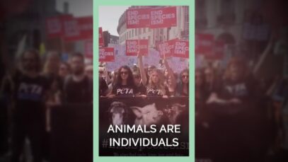 Animals aren’t like us—they are us.