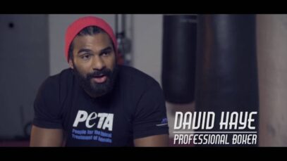 Boxing Champion David Haye is Vegan for Animals