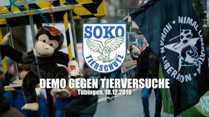 DEMO GEGEN TIERVERSUCHE – Tübingen, 18.12.2016