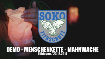 DEMO – MENSCHENKETTE – MAHNWACHE // Tübingen, 20.12.2014 // SOKO Tierschutz e.V.