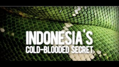 Indonesia's Cold-Blooded Secret