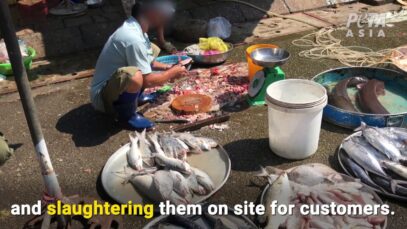 Live-Animal Markets in Vietnam are Still Open Despite COVID-19