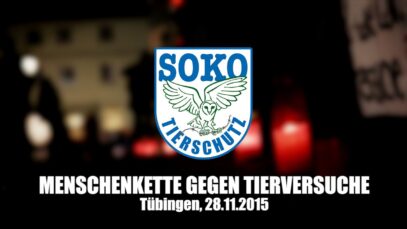 MENSCHENKETTE GEGEN TIERVERSUCHE – Tübingen, 28.11.2015 // SOKO Tierschutz e.V.