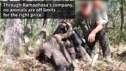 South African President's Hidden Trophy Hunting Connections Exposed