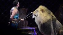 Shrine Circus Cruelty