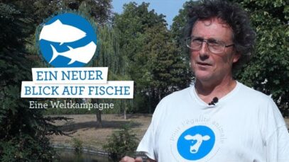 „Ein neuer Blick auf Fische“: Interview zur Weltkampagne mit Yves Bonnardel