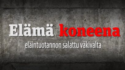 Elämä koneena – eläintuotannon salattu väkivalta