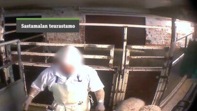 Sastamalan teurastamo