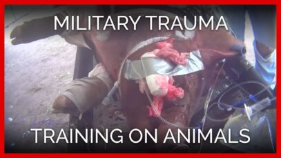 Military Trauma Training on Animals