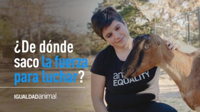 Un MENSAJE de Sharon Núñez: ¿Dónde encuentro la fuerza para luchar por los animales?