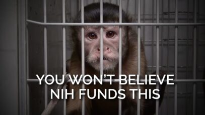 You Won’t Believe the NIH Funds This