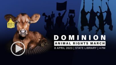 Dominion Animal Rights March, 8 April 2023