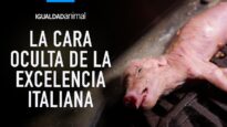 La CRUELDAD ANIMAL tras la EXCELENCIA italiana