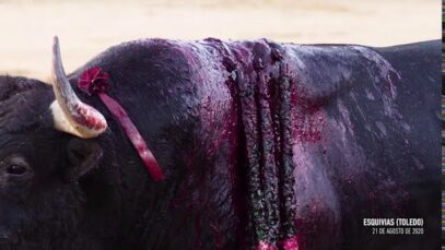 AnimaNaturalis expone la crueldad de la tauromaquia