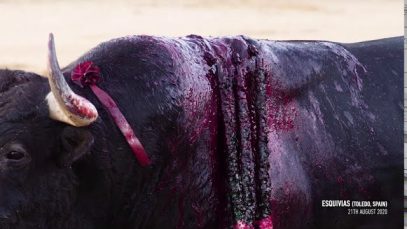 AnimaNaturalis exposes the cruelty of bullfighting