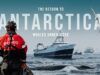 The Return To Antarctica: Whales Under Siege