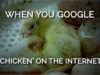 When You Google ‘Chicken’ on the Internet