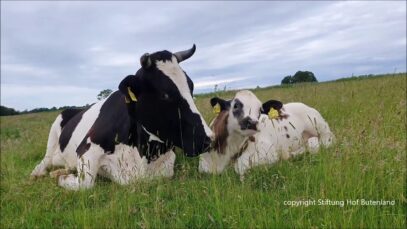 Das Kleingedruckte bei einem artgerechten Leben in der Tierindustrie