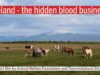 Trailer: Iceland – the hidden blood business