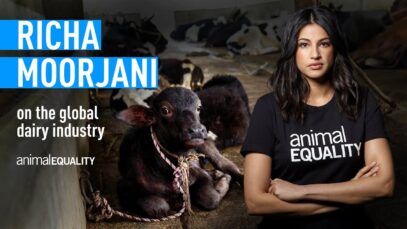 Actress Richa Moorjani Sheds Light on the Global Dairy Industry