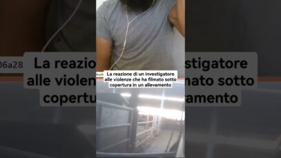 La reazione di un investigatore alle violenze che ha filmato in un allevamento