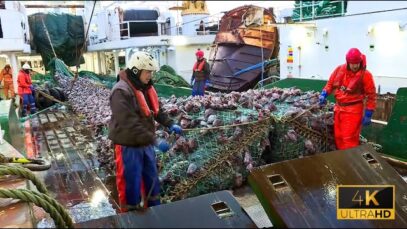 Life On Germany’s Most Advanced Deep-Sea Trawler | Inside A Floating Seafood Processing Plant