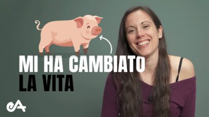 L’incontro con quell’animale mi ha cambiato la vita