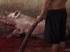 Beating a pig with a stick