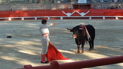 Beaucaire, 26 juillet 2020 #StopCorrida