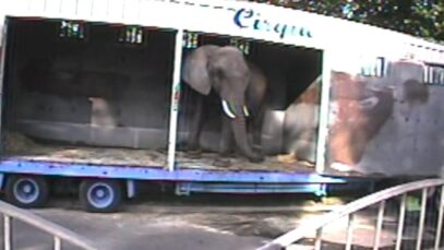 Betty, dans le camion du Cirque Maximum en 2006